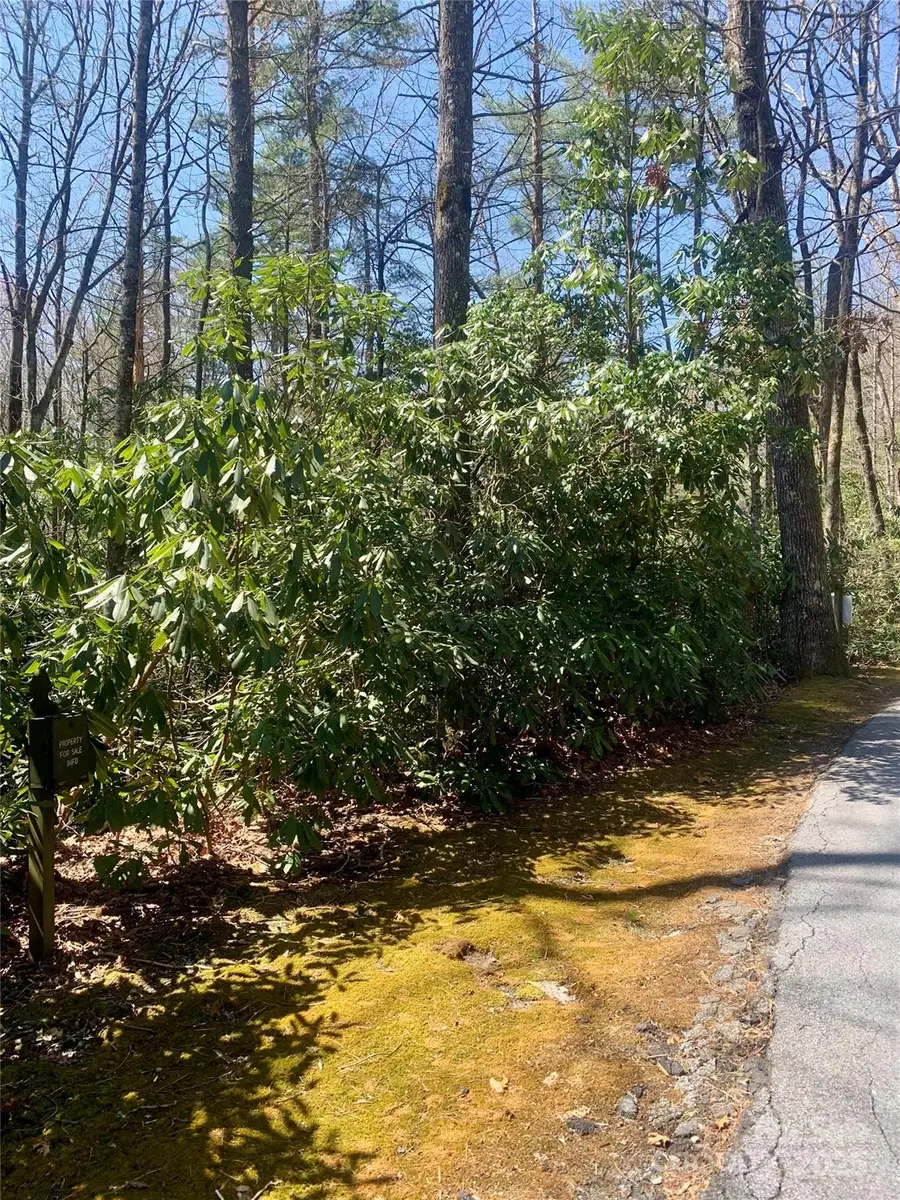 TBD Indian Lake Road #20A, Lake Toxaway, NC 28747 - Image #2