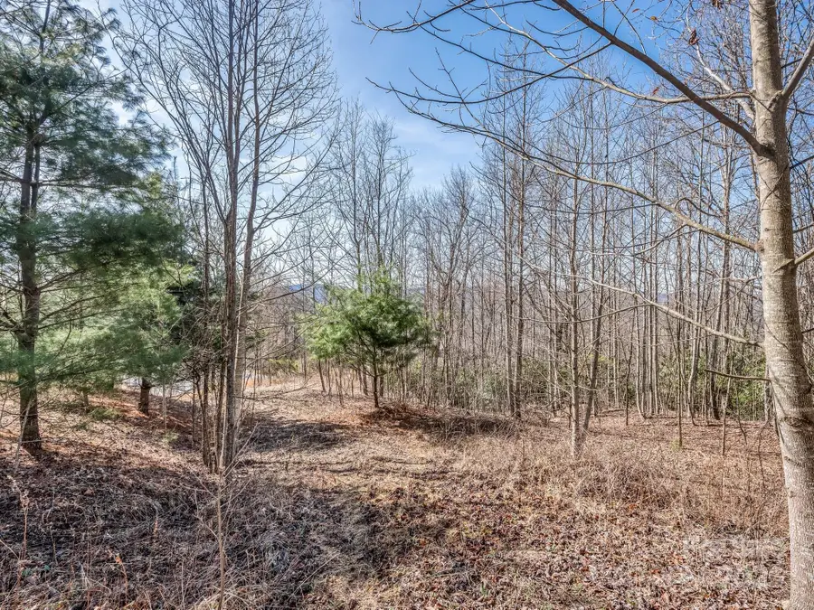 142 Mountain Elder Lane #79, Hendersonville, NC 28739 - #2