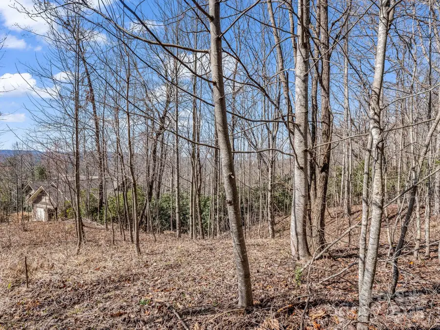 142 Mountain Elder Lane #79, Hendersonville, NC 28739 - #3