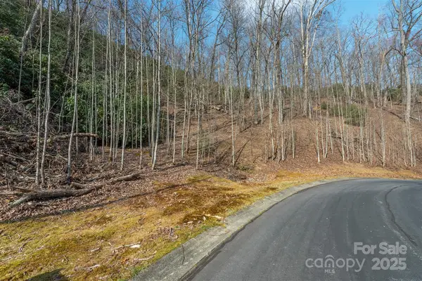 0 Shining Rock Path #12, Horse Shoe, NC 28742