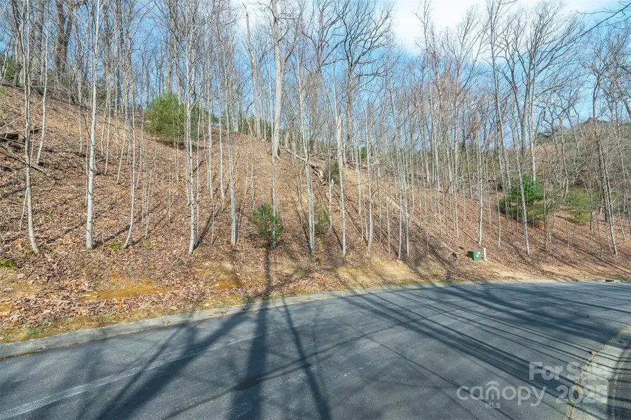 0 Shining Rock Path #12, Horse Shoe, NC 28742 - Image #2