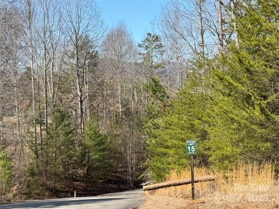 00 Shady Bark Lane, Rutherfordton, NC 28139 - Image #2