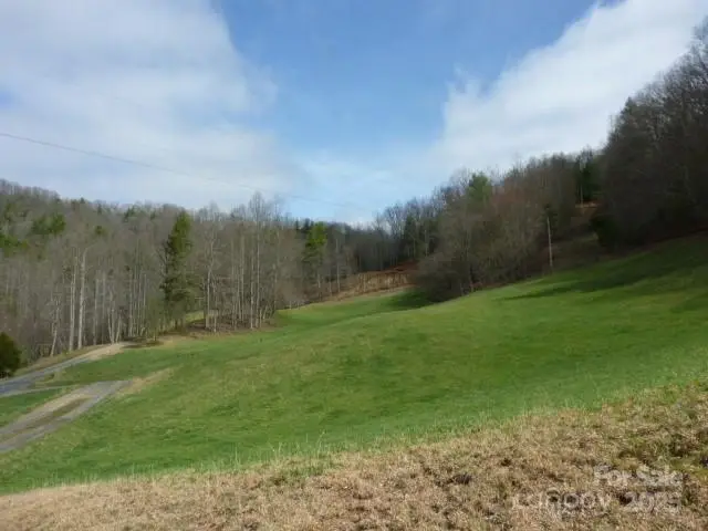 tbd Joe Tweed Road, Marshall, NC 28753 - Image #1