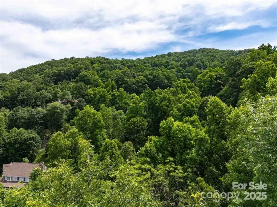 9999 Centennial Drive #5, Waynesville, NC 28786 - Image #3