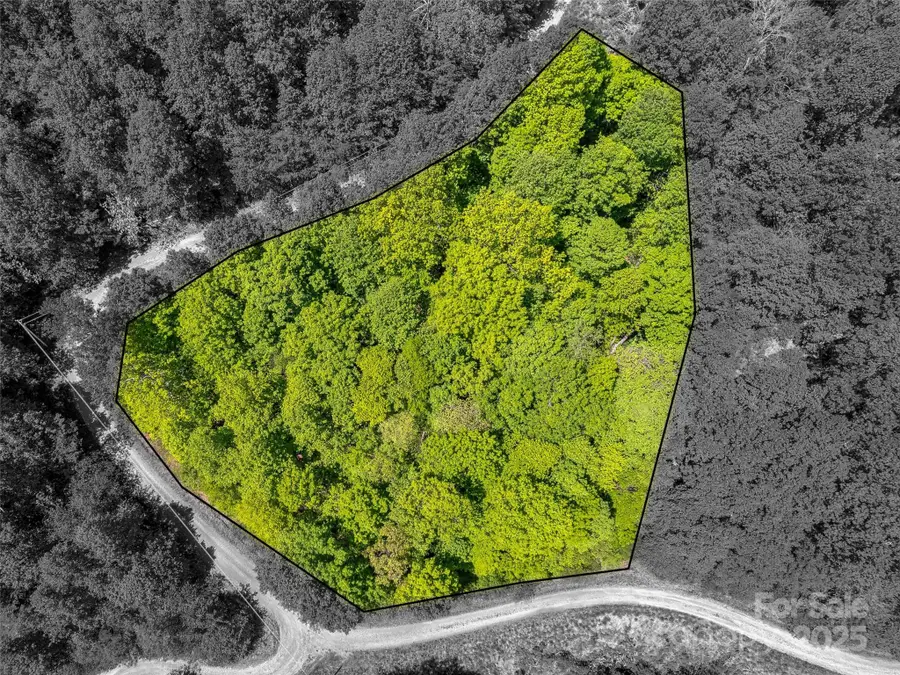 +/- 1.85 acres Pinnacle Parkway #48, Union Mills, NC 28167 - Image #2