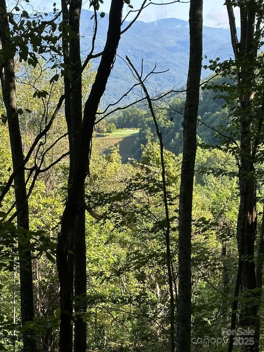 142 Old Growth Way #58, Sylva, NC 28779 - Image #3