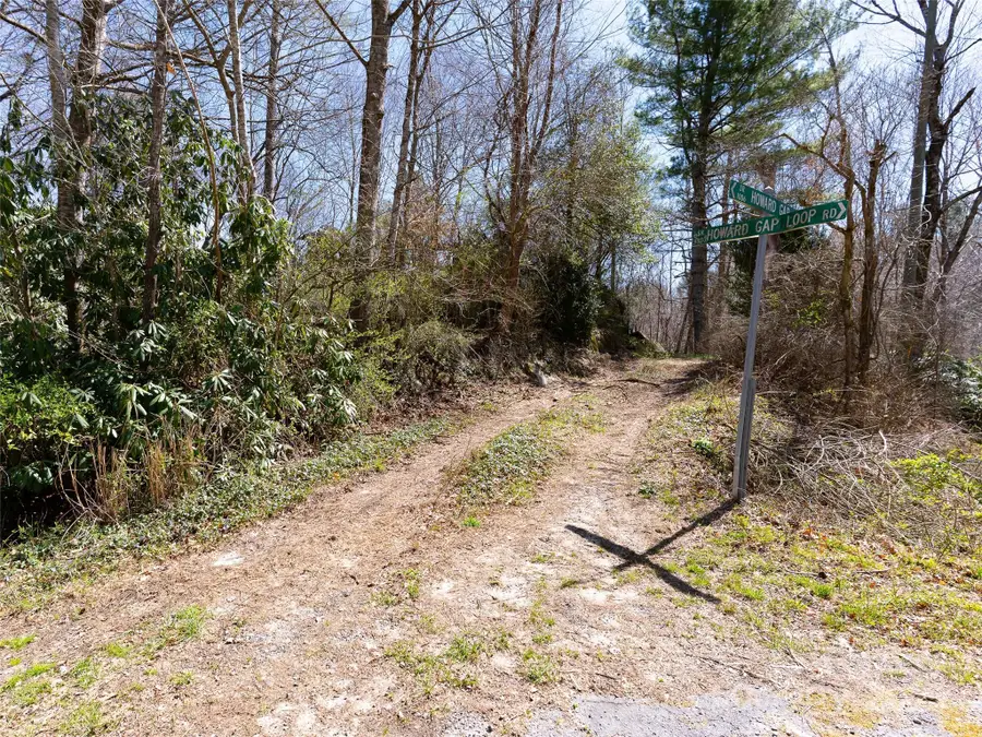 8099 Howard Gap Road, Flat Rock, NC 28731 - Image #3