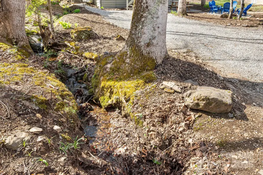 21 Susan Drive, Maggie Valley, NC 28751 - Image #3