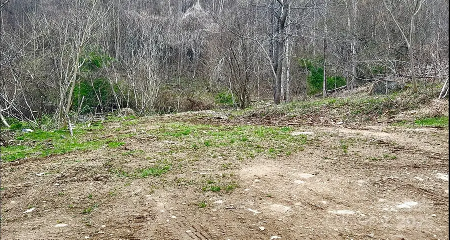 902 Spillcorn Road, Marshall, NC 28753 - Image #3