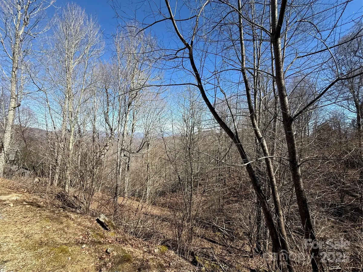 000 Running Cedar Lane #31, Mars Hill, NC 28754 - Image #1