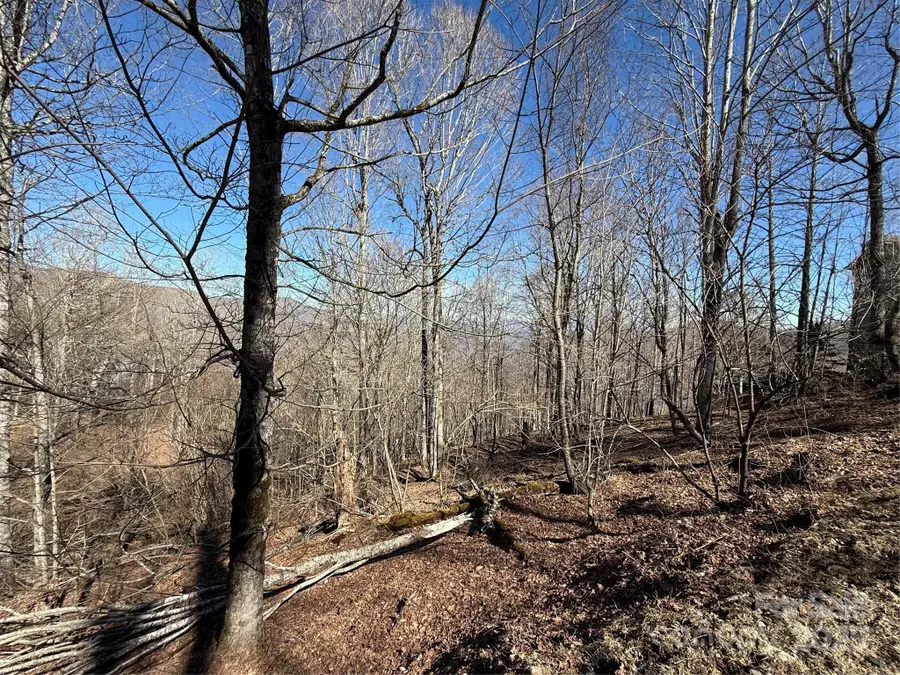 000 Running Cedar Lane #31, Mars Hill, NC 28754 - Image #3