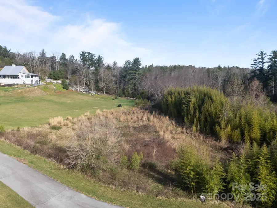 193 Montevilla Drive, Hendersonville, NC 28739 - Image #3