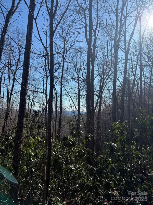 0 Old Sampson Road, Lenoir, NC 28645