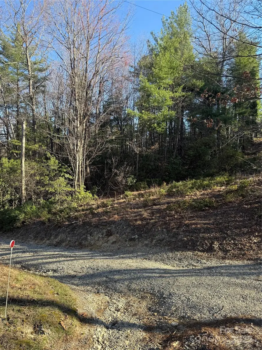 0 Old Sampson Road, Lenoir, NC 28645 - Image #2