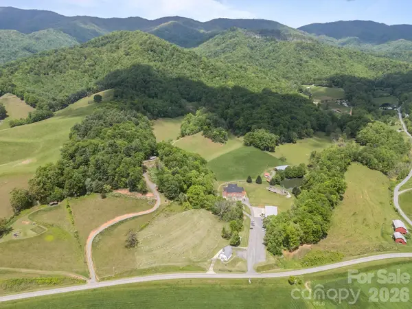 411 Big Sandy Mush Road, Leicester, NC 28748