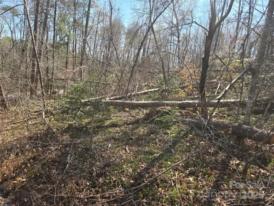 Lot 15 Jonathan Lane, Lake Lure, NC 28746 - Image #2