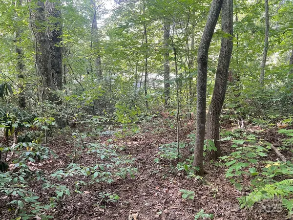 TBD Rattlesnake Mountain Road, Black Mountain, NC 28711