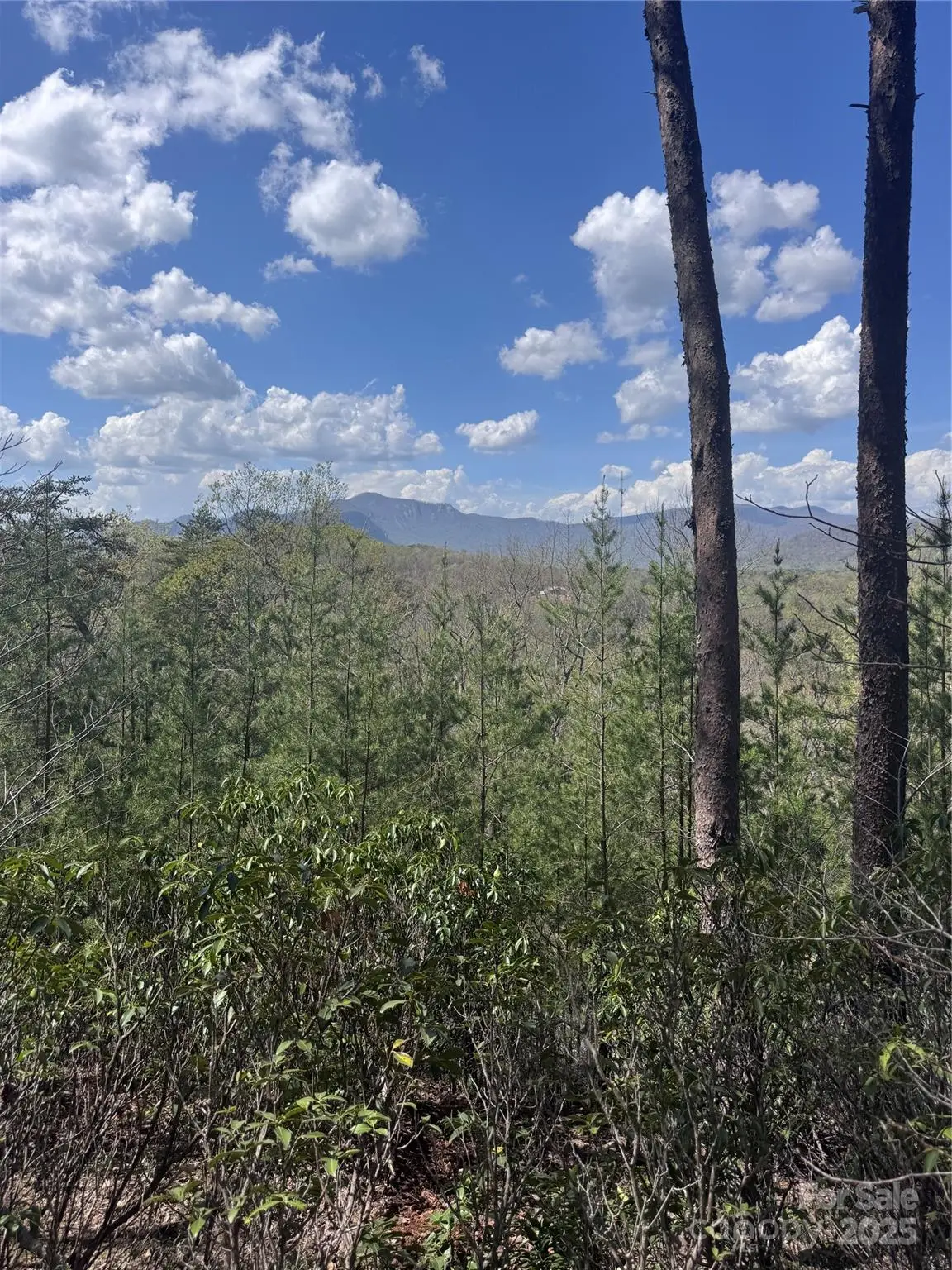 0 High Pines Loop #162, Lake Lure, NC 28746 - Image #1