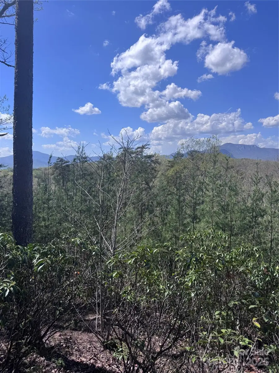 0 High Pines Loop #162, Lake Lure, NC 28746 - Image #3