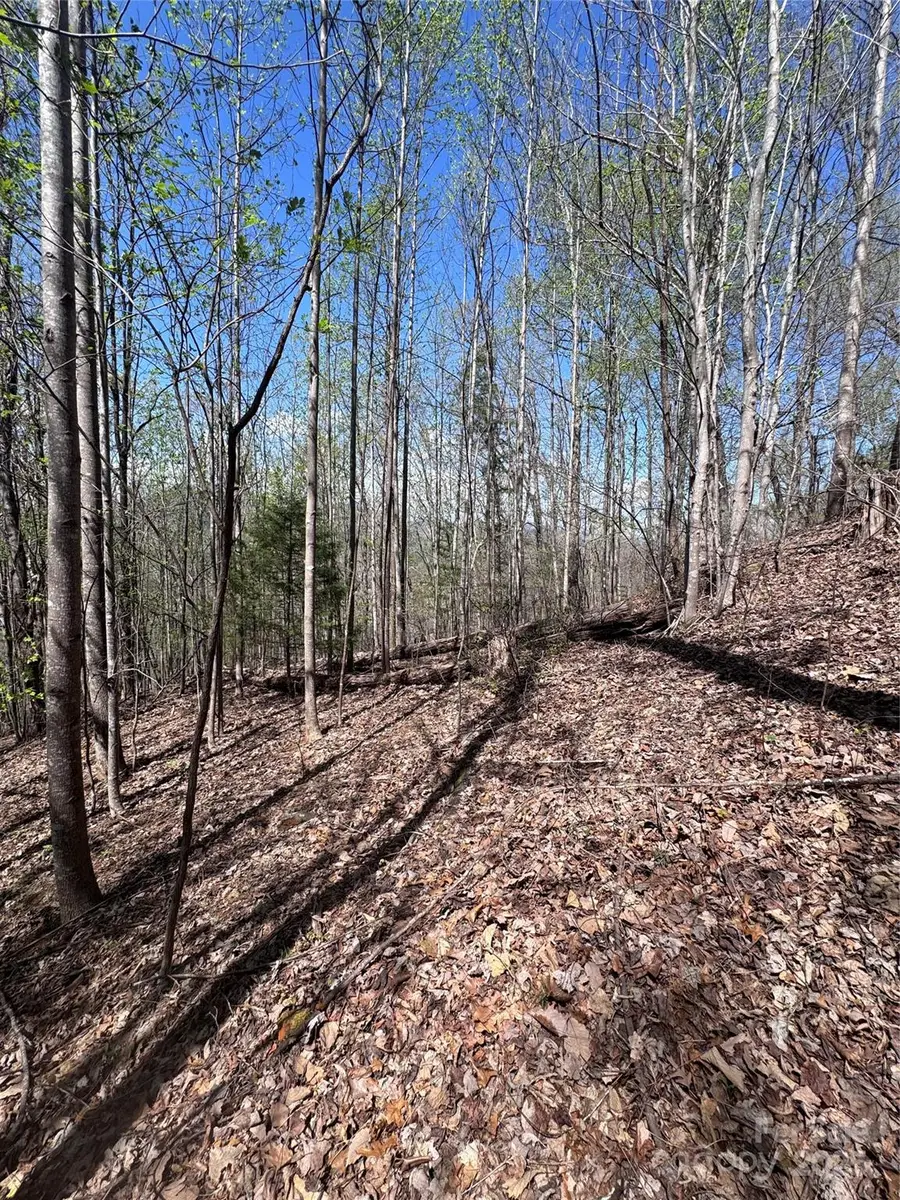 0 High Pines Loop #158, Lake Lure, NC 28746 - Image #2