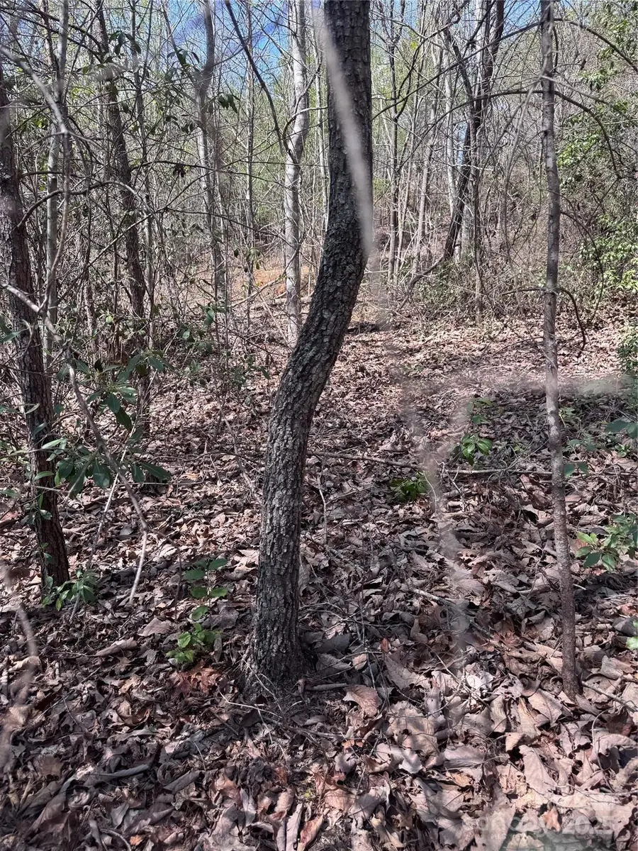 0 Brookside Parkway #10, Lake Lure, NC 28746 - Image #2