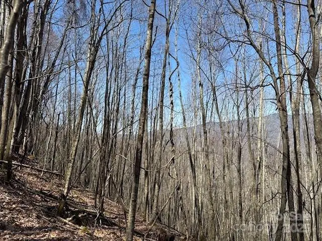 140 Boar Ridge Road #140, Sylva, NC 28779 - Image #3