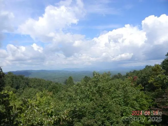 7866 Pinnacle Mountain Road #3 & 4, Zirconia, NC 28790 - Image #1