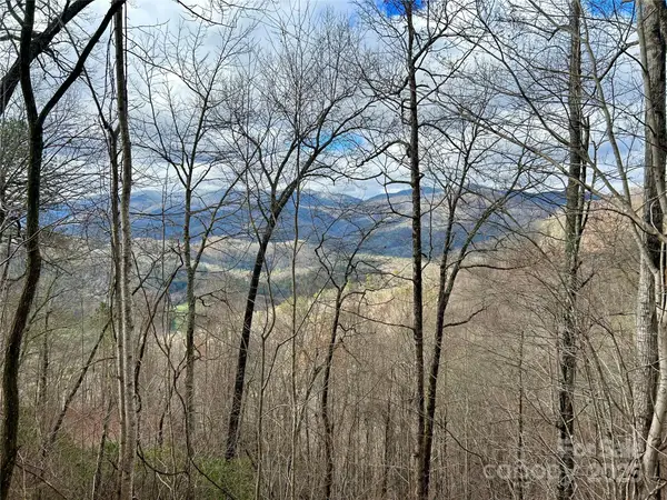 0 Maltese Way #25, Whittier, NC 28789