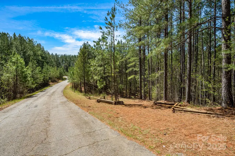 19 Sunset Drive #19, Mill Spring, NC 28756 - Image #2