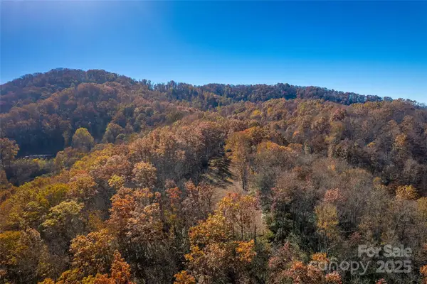 4 Copperhead Cove, Sylva, NC 28779