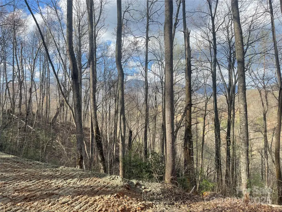 4 Copperhead Cove, Sylva, NC 28779 - Image #3