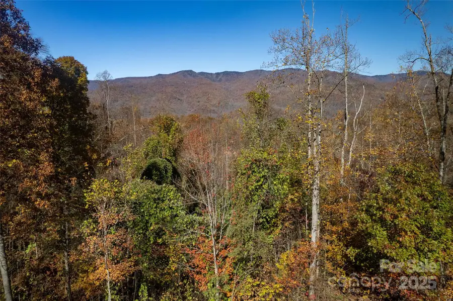 5 Copperhead Cove, Sylva, NC 28779 - Image #2