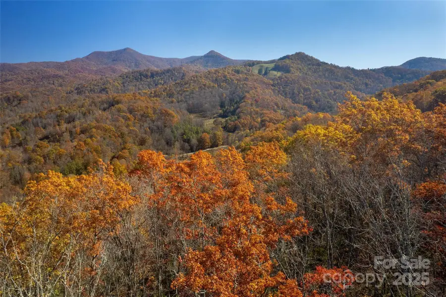 5 Copperhead Cove, Sylva, NC 28779 - Image #3