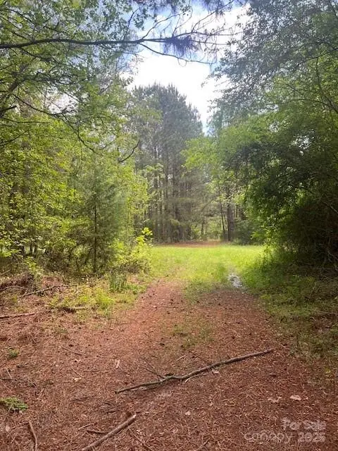 tbd Pleasant Hill Church Road, Wadesboro, NC 28170 - Image #1