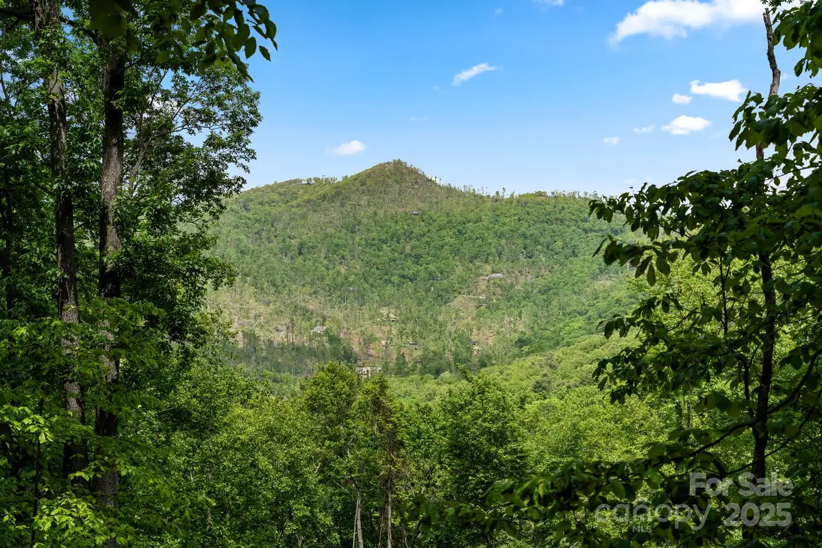 99999 Hawk Ridge, Asheville, NC 28804 - Image #1