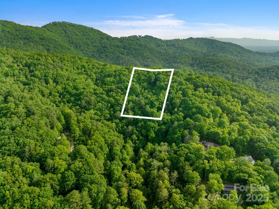 99999 Hawk Ridge, Asheville, NC 28804 - Image #3