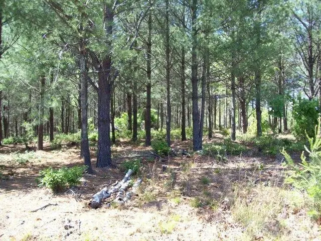 1552 Bear Cliff Drive #32, Nebo, NC 28761 - Image #2