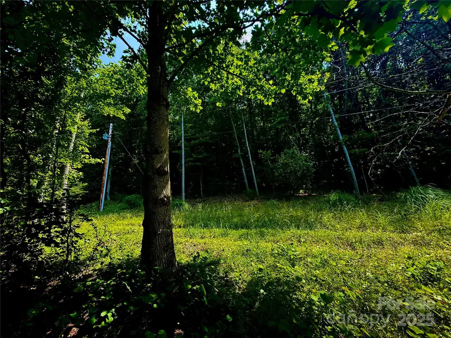 700 Wooded Mountain Trail, Mars Hill, NC 28754 - Image #3