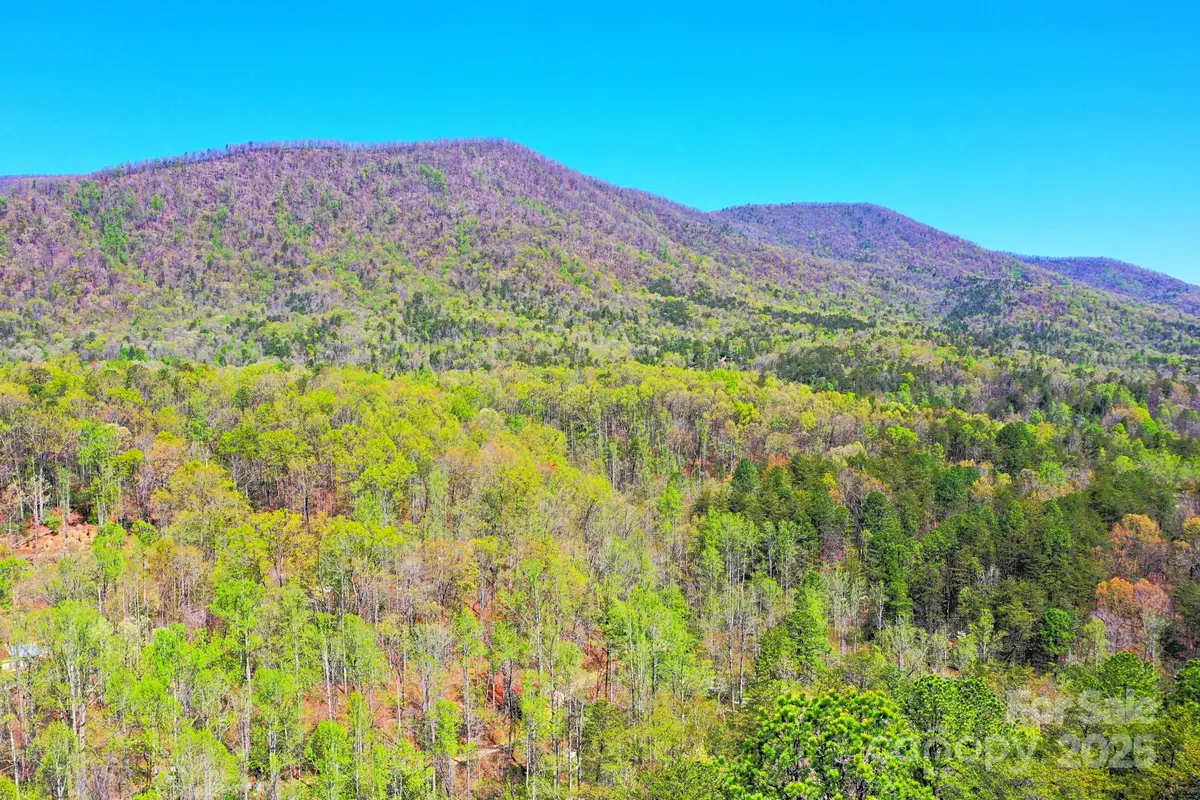 0 Mackey Creek Road, Old Fort, NC 28762 - Image #1