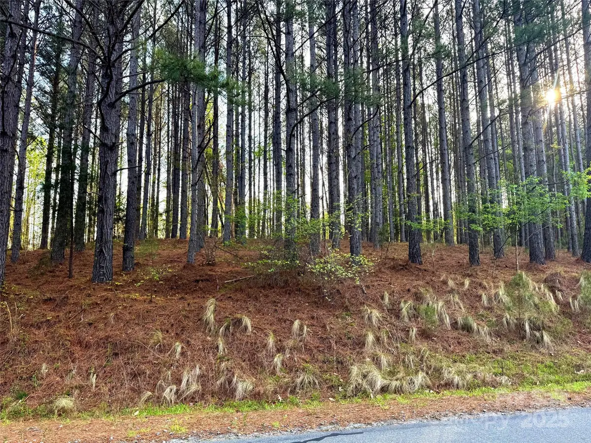 0 Clearwater Parkway, Rutherfordton, NC 28139 - Image #1