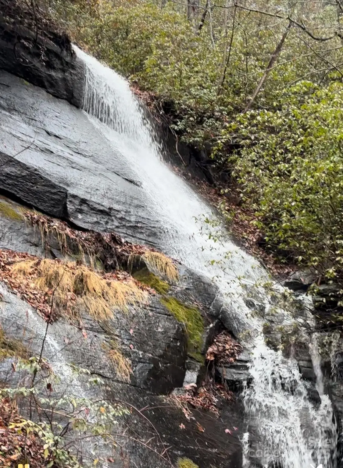 1424 Wolfpen Road, Old Fort, NC 28762 - #1