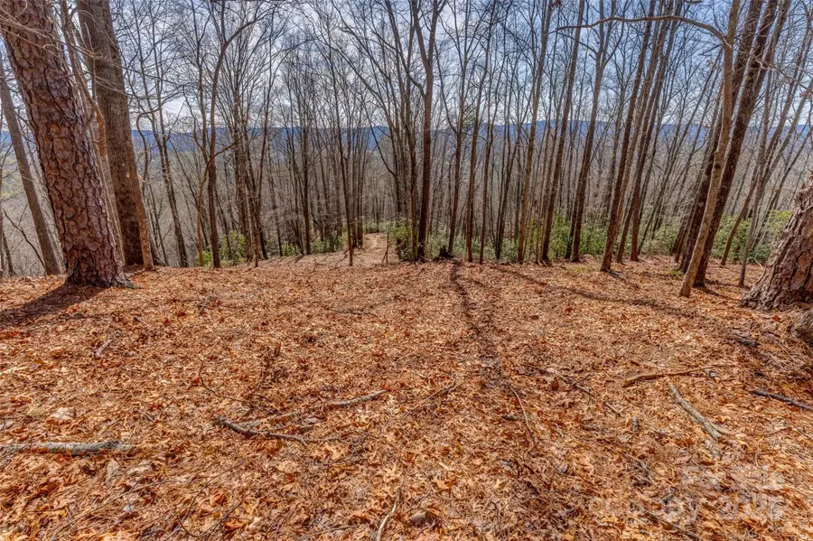 lot 3 Heavenly Hill Road #3, Brevard, NC 28712 - Image #3