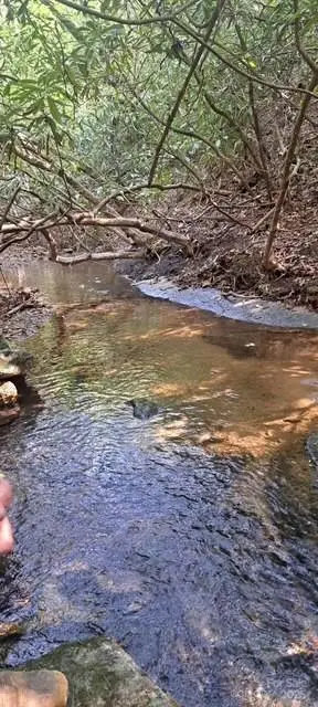 4027 Skyline Drive, Morganton, NC 28655 - Image #2