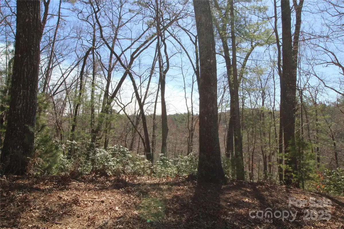 V/L Heartwood Forest Drive #26 & 27, Collettsville, NC 28611 - Image #1