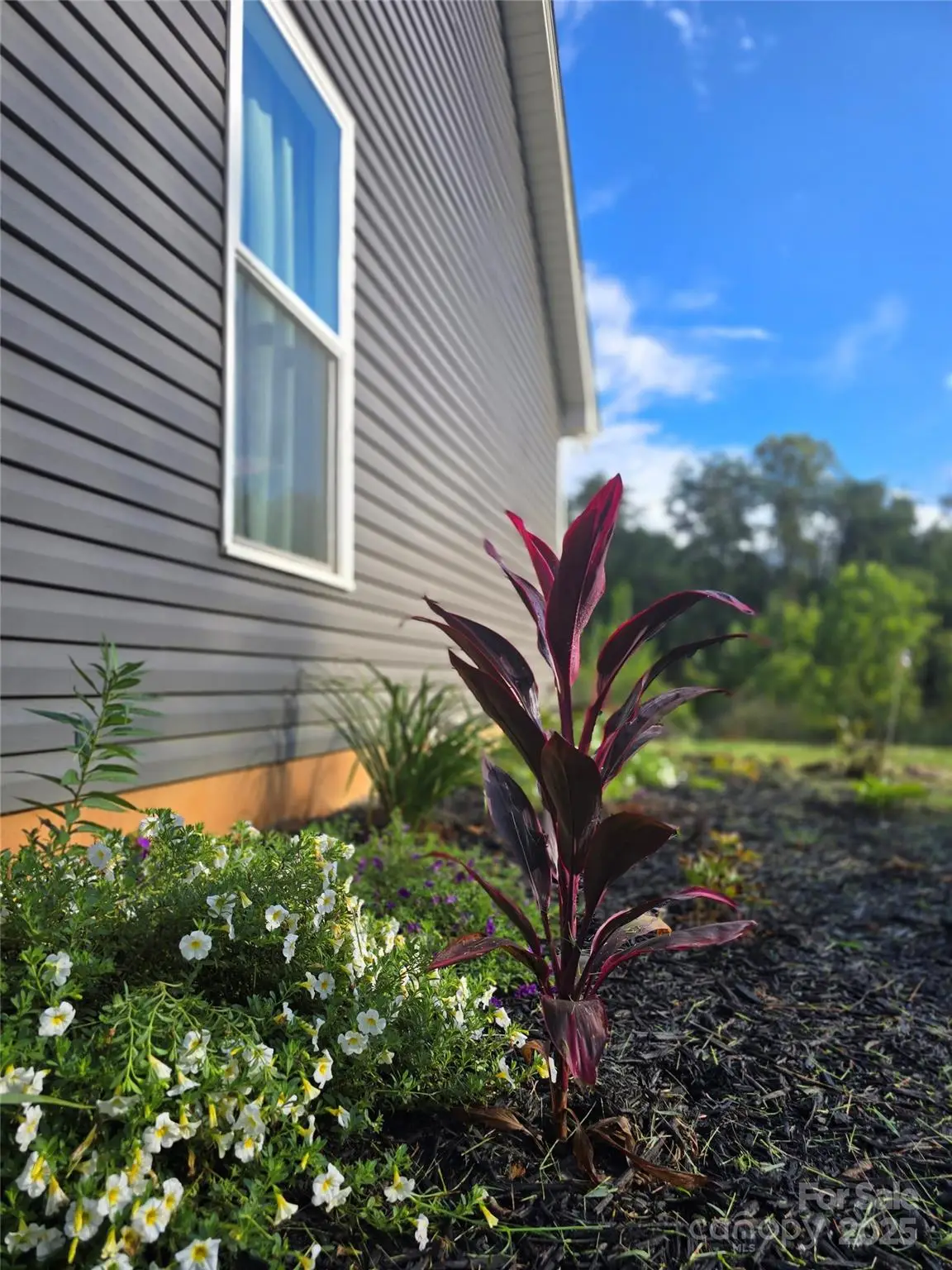 19 Higgins Road, Weaverville, NC 28787 - Image #1