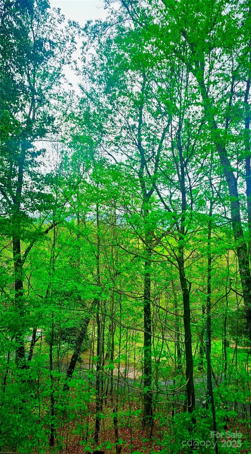 447 Cherokee Circle, Tryon, NC 28782 - Image #2