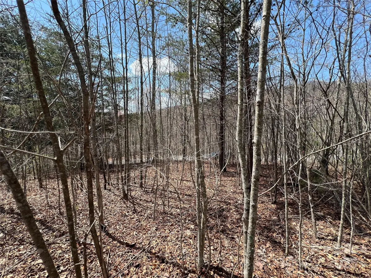 192 Pine Cone Trail #21, Marshall, NC 28753 - Image #1