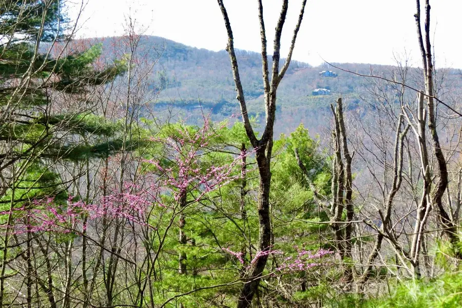 422 Lakeside Drive #L015, L016, Lake Toxaway, NC 28747 - Image #3