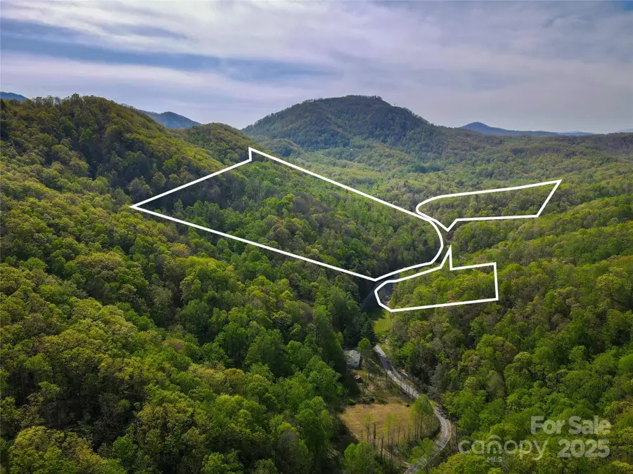 000 Cedar Creek Road, Black Mountain, NC 28711 - Image #3