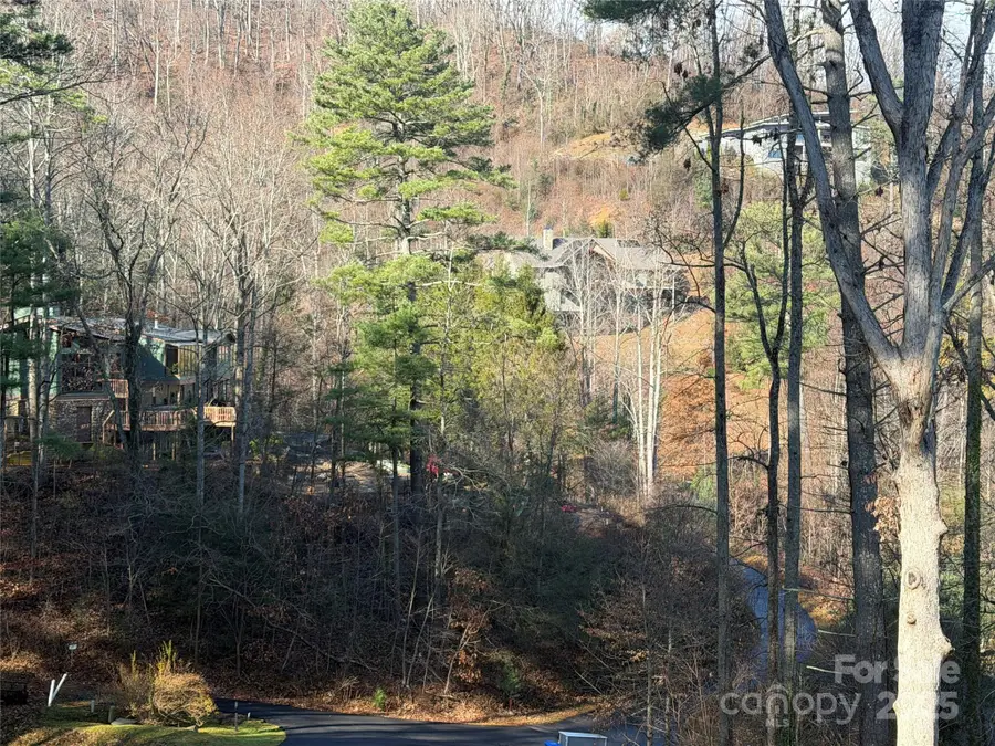 42 Spring Cove Road, Asheville, NC 28804 - Image #2